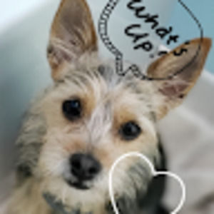 Meet your Posher, Mel